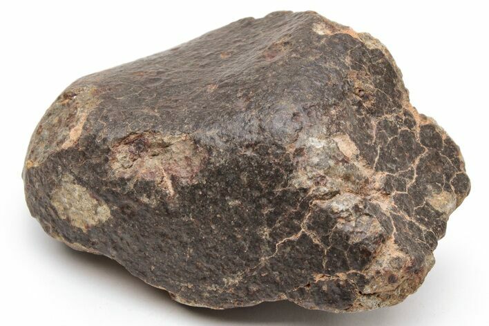 Chondrite Meteorite ( g) - Western Sahara Desert #226937